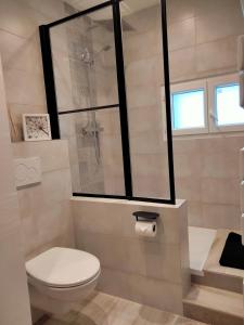 uma pequena casa de banho com WC e chuveiro em A l'Ombre de la Dame em Cucuron