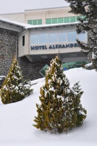 two trees in the snow in front of a building at Hotel Alexandros Busteni in Buşteni