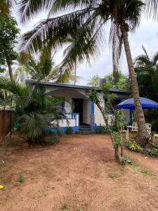 a blue house with a palm tree in front of it at Coco inn Goa in Candolim