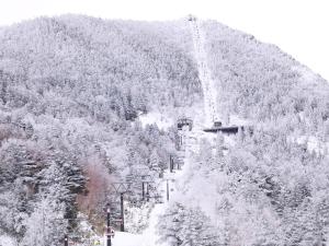 New Yokote during the winter