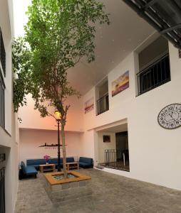 a living room with a tree in the middle at Hostel Old Town in Bratislava