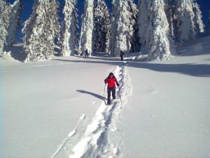 Knödl-Alm Waldhäusl during the winter