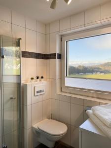 a bathroom with a toilet and a window at Wohnung Steixner in Westendorf