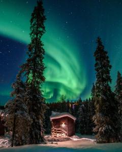 a cabin under the aurora in the snow with trees at Magical Pond Nature Igloos in Ruka