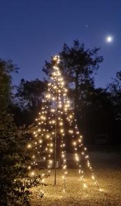 ニューキーにあるThe Hideaway at Tregoose Old Millの夜の大クリスマスの木