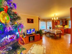 uma sala de estar com uma árvore de Natal e uma televisão em Dom u Gazdy przy Gondoli em Szczyrk
