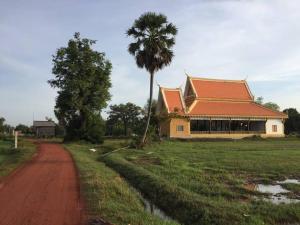 a building with a palm tree next to a dirt road at Homestay 1-2pax AC room 5 including private kitchen in Siem Reap