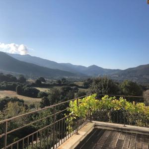 Príroda v okolí vily