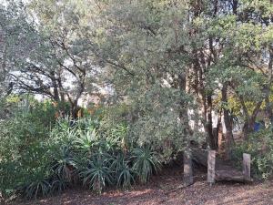 Vonkajšia záhrada v ubytovaní Villa de charme avec piscine entre Ajaccio et Porticcio