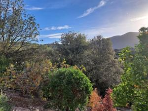 un groupe de buissons et d'arbres avec des montagnes en arrière-plan dans l'établissement Villa de charme avec piscine entre Ajaccio et Porticcio, à Eccica-Suarella