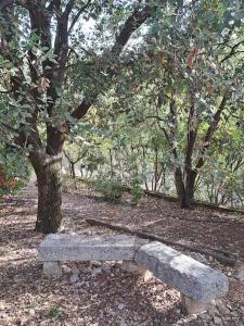 Vonkajšia záhrada v ubytovaní Villa de charme avec piscine entre Ajaccio et Porticcio