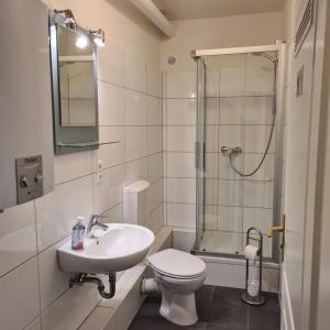 W łazience znajduje się umywalka, toaleta i prysznic. w obiekcie Altstadt Hostel Bremen w Bremie