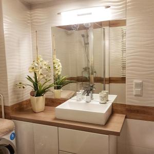 Kúpeľňa v ubytovaní Apartamenty City Center - Zdrojowe