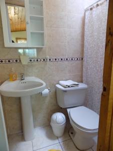 a bathroom with a sink and a toilet and a mirror at Quinta Vergara Montaña in Viña del Mar