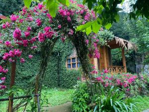 un jardin avec des fleurs roses en face d'une maison dans l'établissement Hoa Chanh Eco Home, à Sa Pa