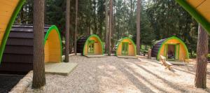 una fila de cúpulas verdes y amarillas en un bosque en Waldcamping Brombach en Pleinfeld