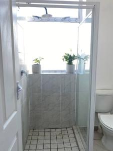 uma casa de banho com chuveiro, WC e vasos de plantas em Beachside Studio Apartment on Surfers Corner em Cidade do Cabo