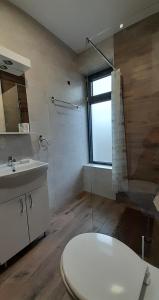 een badkamer met een toilet, een wastafel en een raam bij KONAK ViLA MIRKOVIĆ in Soko Banja