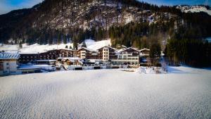 Hotel Alpina Wellness & Spa Resort að vetri til