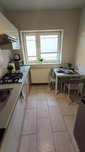 Kuchyňa alebo kuchynka v ubytovaní Apartament SREBRNY Krakowskie Przedmieście 26