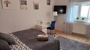 1 dormitorio con 1 cama y escritorio con ordenador en Apartament SREBRNY Krakowskie Przedmieście 26, en Lublin