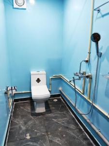 Baño con aseo en una pared azul en Casa fiesta Sea front beach huts, en Patnem