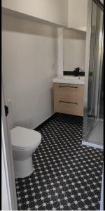 een badkamer met een toilet, een wastafel en een douche bij Apartamento El Olivo in Villabáñez