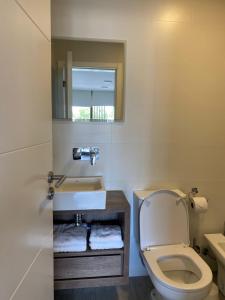 a bathroom with a toilet and a sink at EXCELENTE y completisimo monoambiente con cochera in Mar del Plata