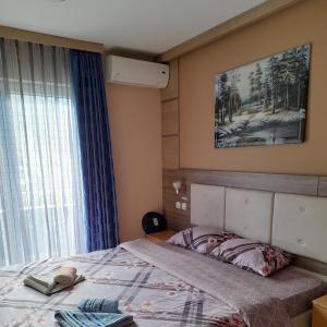 1 dormitorio con cama y ventana en KONAK ViLA MIRKOVIĆ, en Soko Banja