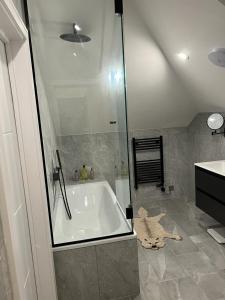 La salle de bains est pourvue d'une baignoire et d'une douche en verre. dans l'établissement 2 Bedroom Penthouse Apartment, à Londres