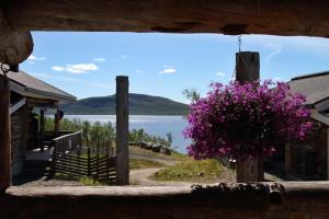 基爾皮斯耶爾維的住宿－Äijän mökki，从带粉红色花的小屋的门廊上欣赏风景