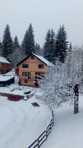 a house covered in snow in front of a yard at Apartman Miron Pale in Pale