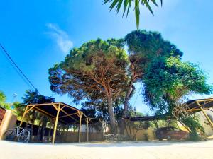 Fotografie z fotogalerie ubytování Marisma v destinaci Barbate