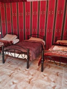 two beds in a room with red walls at Sunset Mountain in Wadi Rum