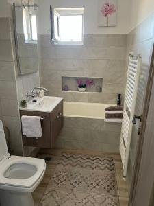 a bathroom with a sink and a toilet and a tub at Adriana home in Turda