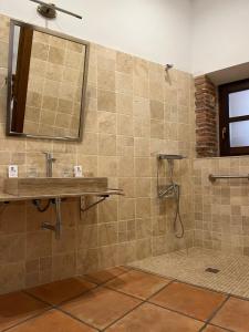 y baño con lavabo y ducha. en El Carmen, en Benalúa de Guadix