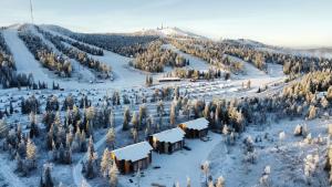 una vista aérea de una montaña cubierta de nieve con árboles en Holiday homes Ruka en Ruka