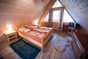 een slaapkamer met een bed en een tv in een blokhut bij Domek Raj Zakopane in Zakopane