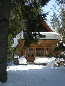 Obiekt Domek Raj Zakopane zimą