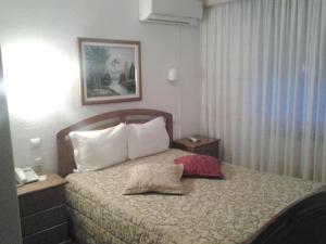 um quarto de hotel com uma cama com duas almofadas em Residencial Pinto na Guarda