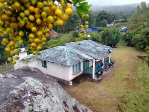 Une petite maison sur une colline avec une bande d'oranges dans l'établissement Green House Rock Home Stay, à Chinnakanal