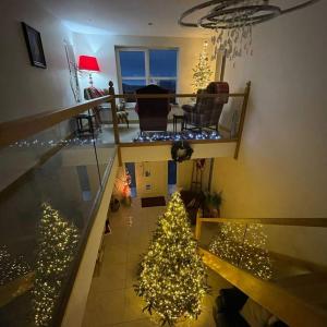 a christmas tree in a living room with lights at Woodview Bed & Breakfast in Kilkeel