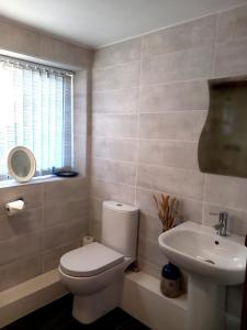 a bathroom with a toilet and a sink at Hayfellside Nook in Kendal