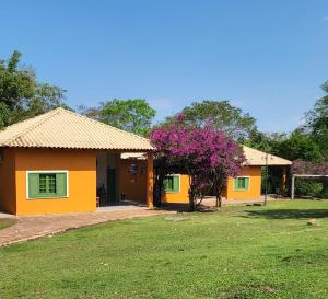 kilka żółtych domów z drzewem w obiekcie Hotel Fazenda Cachoeiras Serra da Bodoquena w mieście Bodoquena