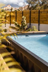 une piscine avec une plante à côté d'une clôture dans l'établissement La Villa Morgabina - Haut standing- Piscine Chauffée - A St Pierre, à Saint-Pierre