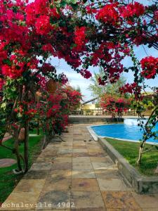a pathway with red flowers next to a swimming pool at ChaleVille - Chalé 4902 in Luis Correia
