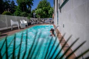 The swimming pool at or close to Daniel Apartments