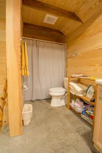 a bathroom with a toilet and a shower at The Dailey Renewal Retreat B & B in Greensboro