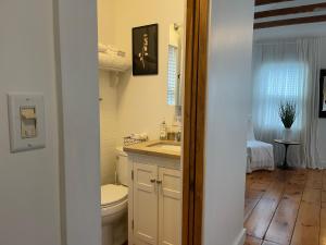 ein Bad mit einem WC und einem Waschbecken in der Unterkunft An authentic, rustic luxurious little single family home in Old Town. All yours. in Marblehead