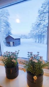 two potted plants on a window sill with a snow covered yard at Gårdshus in Lit